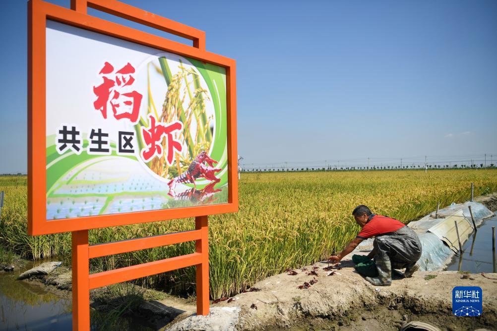 宝运莱游戏官网
